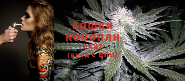 ГАЛЛЮЦИНОГЕННЫЕ ГРИБЫ Абдулино