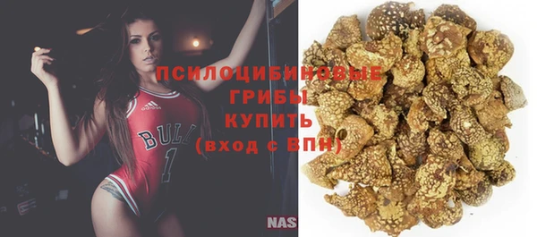 ГАЛЛЮЦИНОГЕННЫЕ ГРИБЫ Абдулино